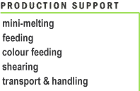 Choice: Production Support